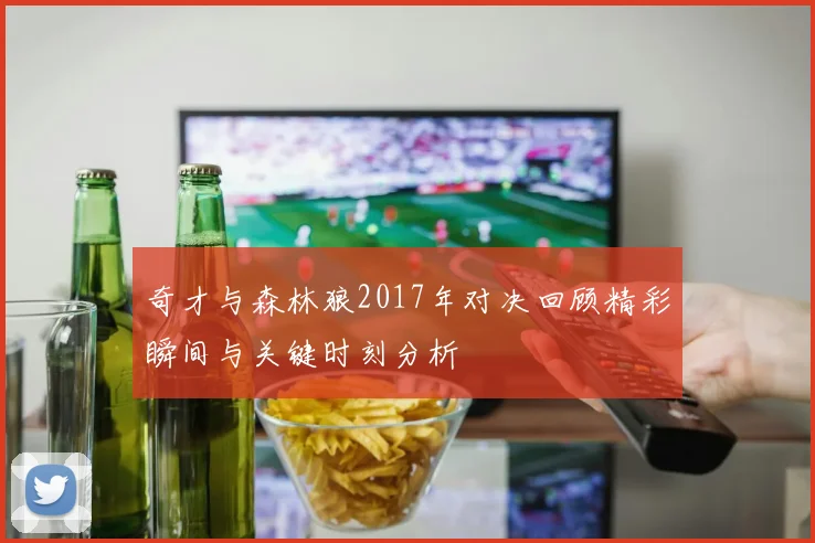 奇才与森林狼2017年对决回顾精彩瞬间与关键时刻分析