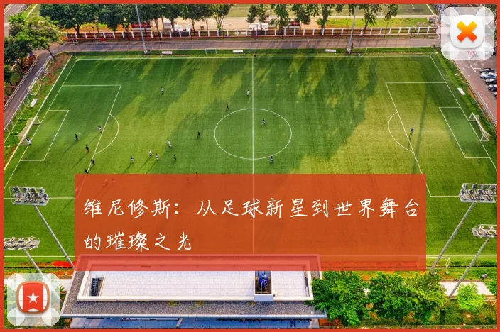 维尼修斯：从足球新星到世界舞台的璀璨之光