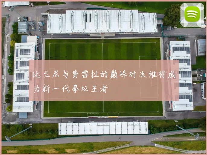 比兰尼与费雷拉的巅峰对决谁将成为新一代拳坛王者