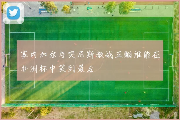 塞内加尔与突尼斯激战正酣谁能在非洲杯中笑到最后