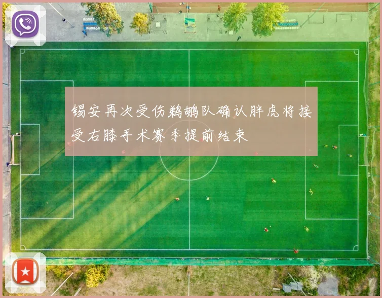 锡安再次受伤鹈鹕队确认胖虎将接受右膝手术赛季提前结束