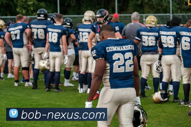 App Interface Preview