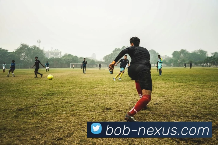 BOB体育APP 封面图